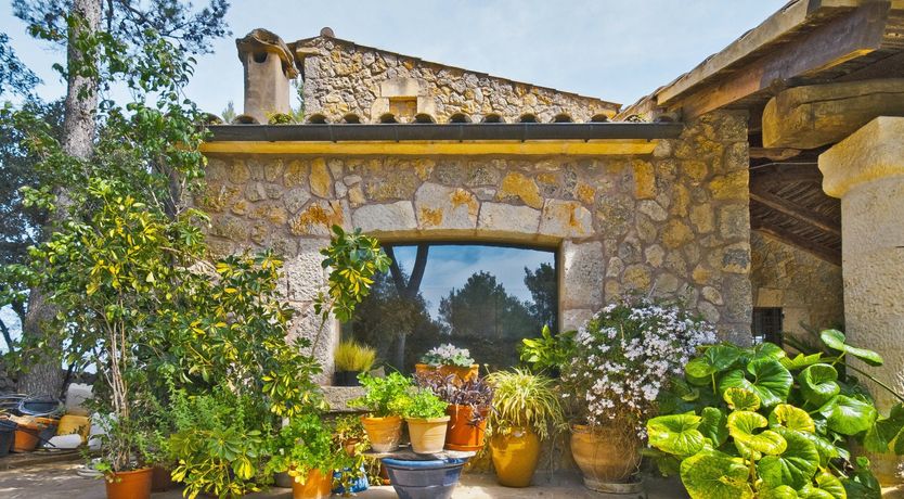 Photo of Eyes Towards Paradise