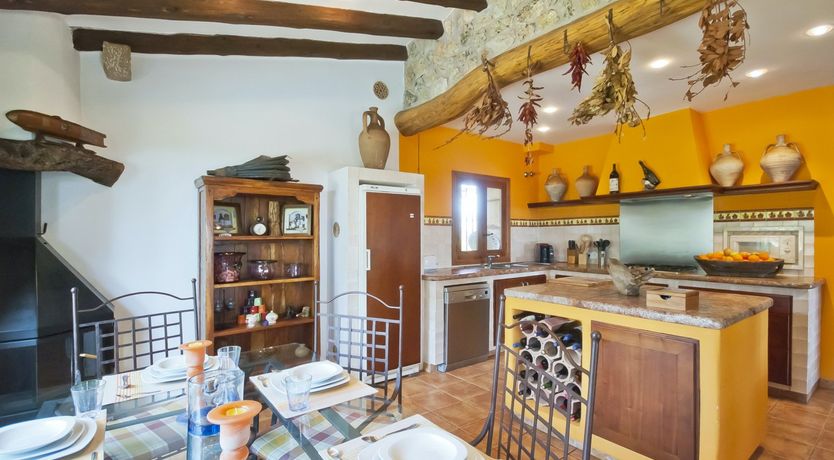 Photo of Eyes Towards Paradise