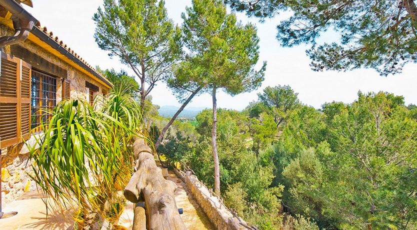 Photo of Eyes Towards Paradise