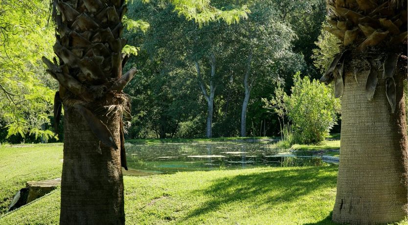 Photo of A Touch of Olive