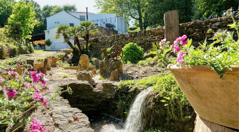 Photo of A Touch of Olive