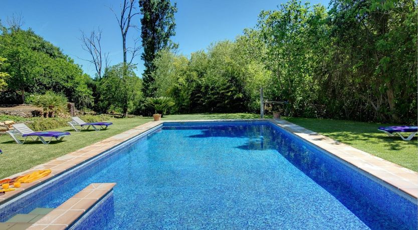 Photo of A Touch of Olive