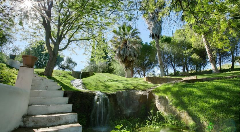 Photo of A Touch of Olive