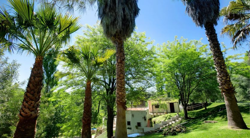 Photo of A Touch of Olive