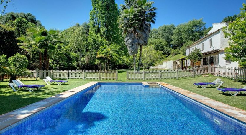 Photo of A Touch of Olive