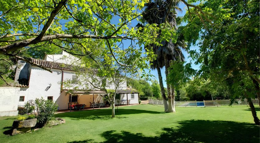 Photo of A Touch of Olive