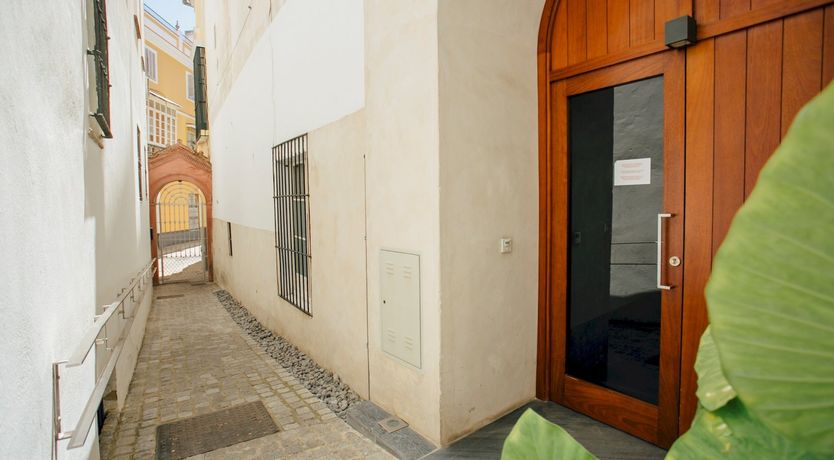 Photo of Sol for the Soul