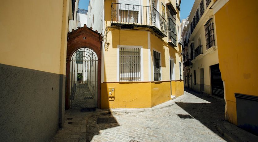 Photo of Sol for the Soul