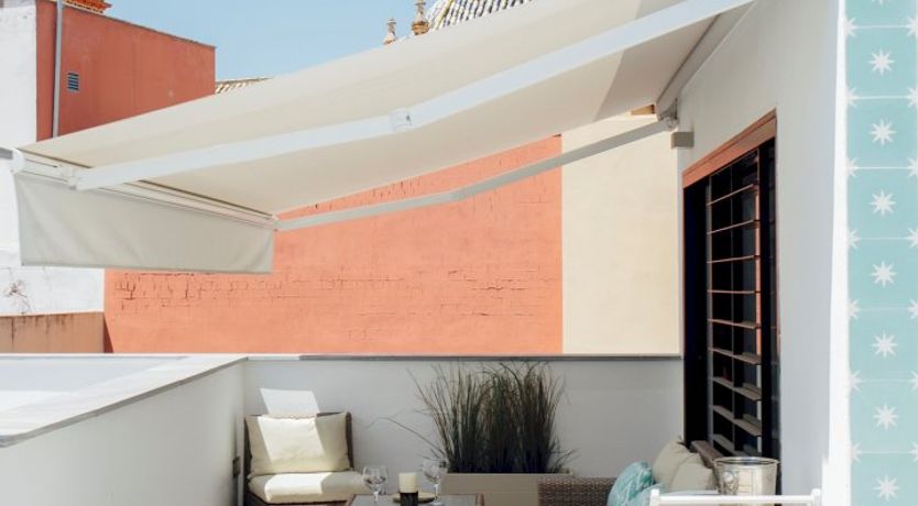 Photo of Sol for the Soul