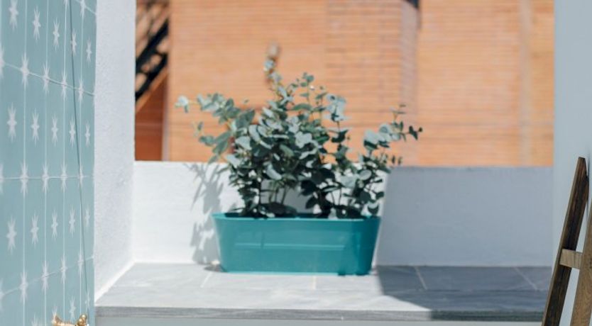 Photo of Sol for the Soul