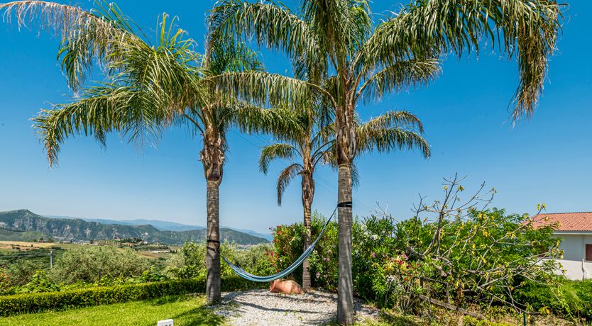 Photo of A Sea of Beauty