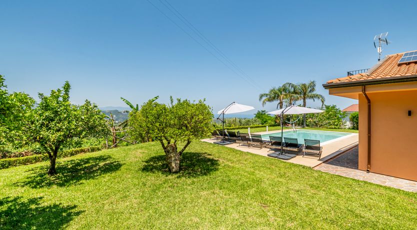 Photo of A Sea of Beauty