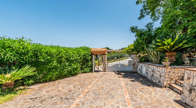 Photo of A Sea of Beauty