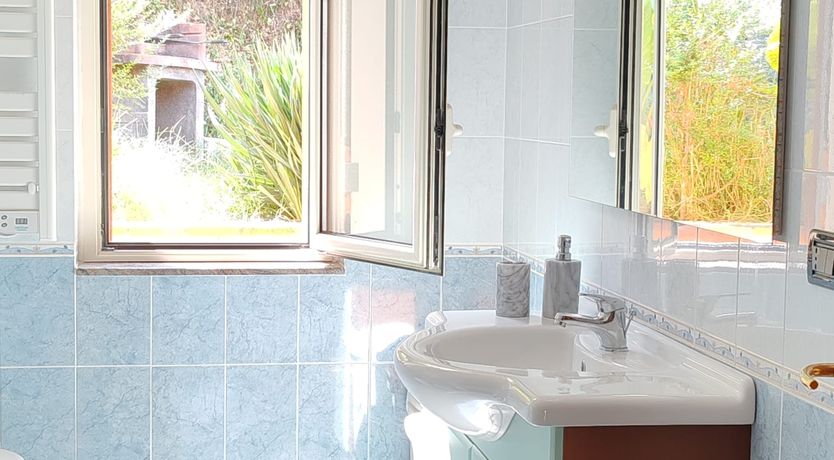 Photo of A Sea of Beauty