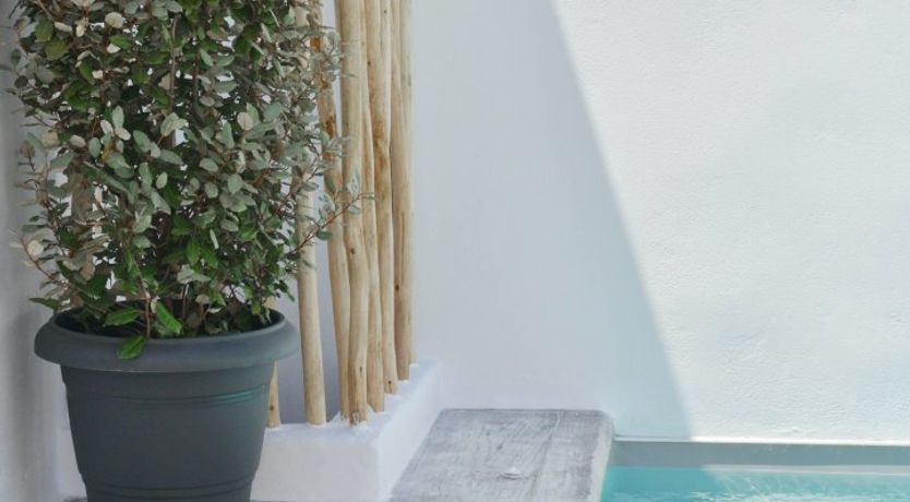 Photo of Grey & Coral