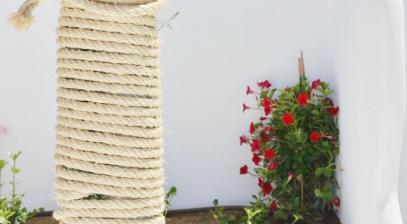 Photo of Grey & Coral