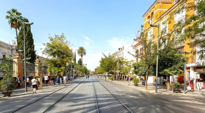 Photo of The Flamenco Drummer