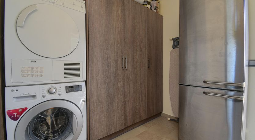 Photo of The Moonflower