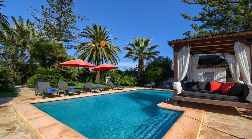 Photo of The Moonflower