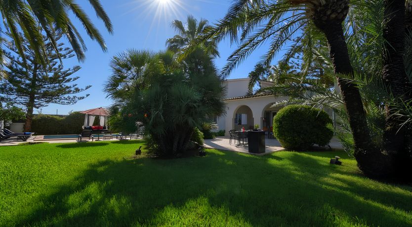 Photo of The Moonflower