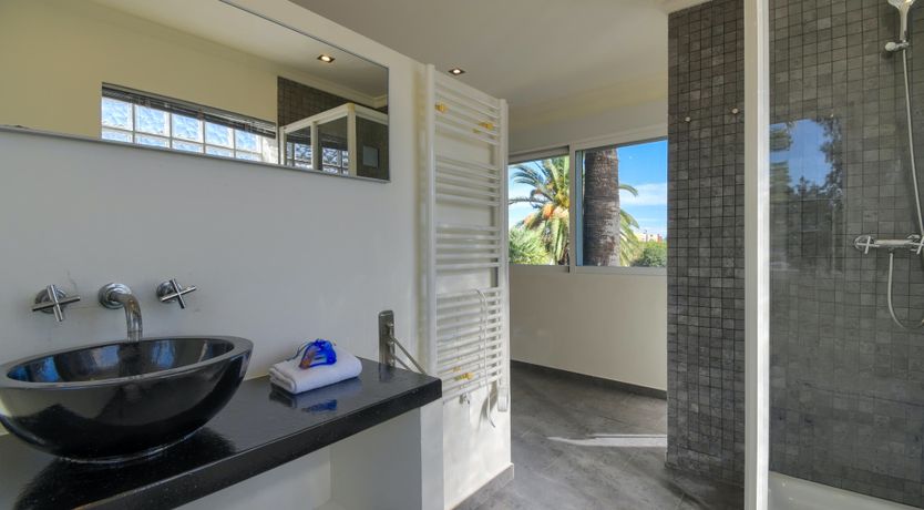 Photo of The Moonflower