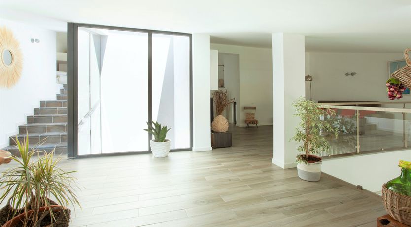 Photo of The Butterfly's Song