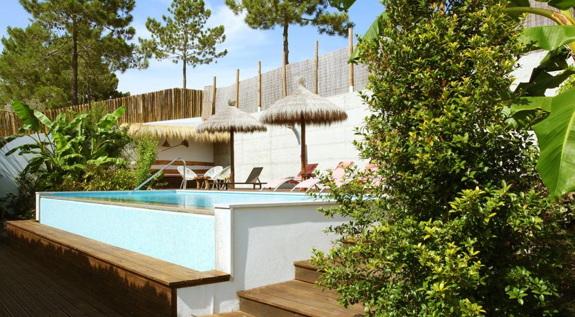 Photo of The Butterfly's Song