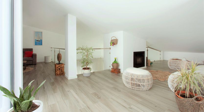 Photo of The Butterfly's Song