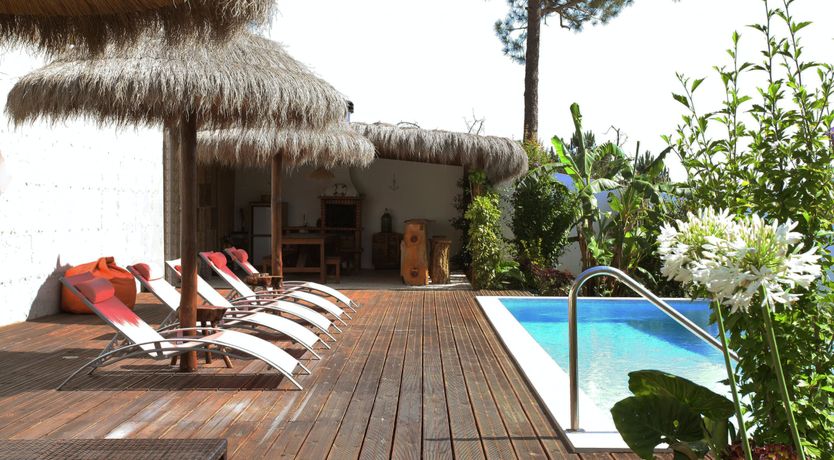 Photo of The Butterfly's Song