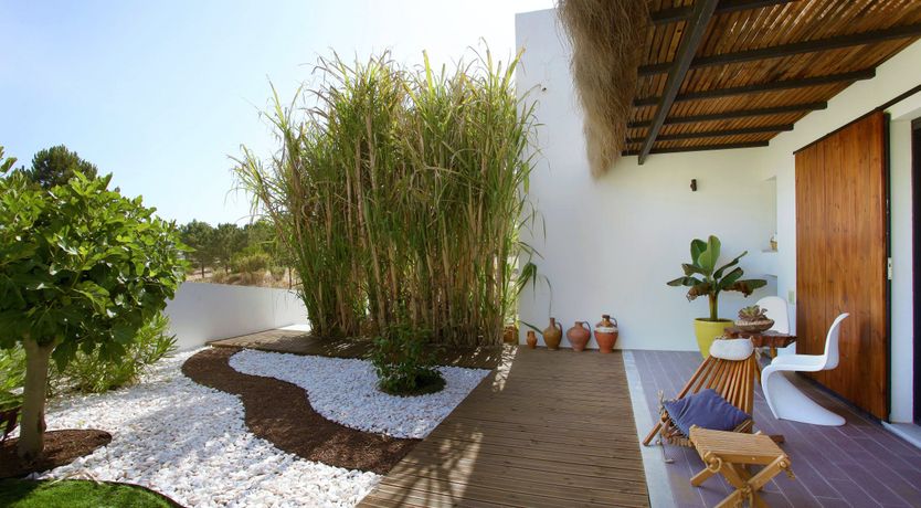 Photo of The Butterfly's Song