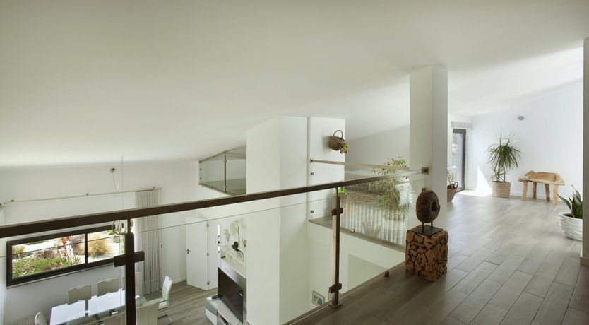 Photo of The Butterfly's Song