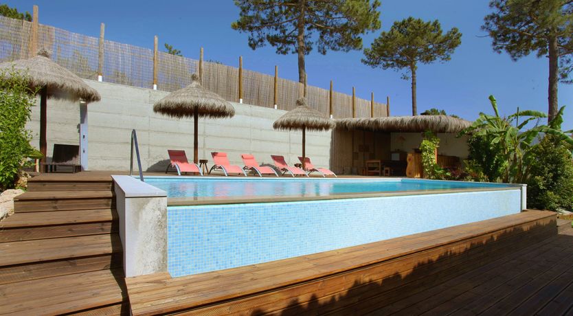 Photo of The Butterfly's Song