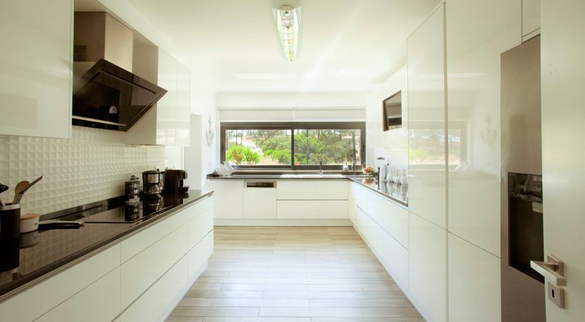 Photo of The Butterfly's Song