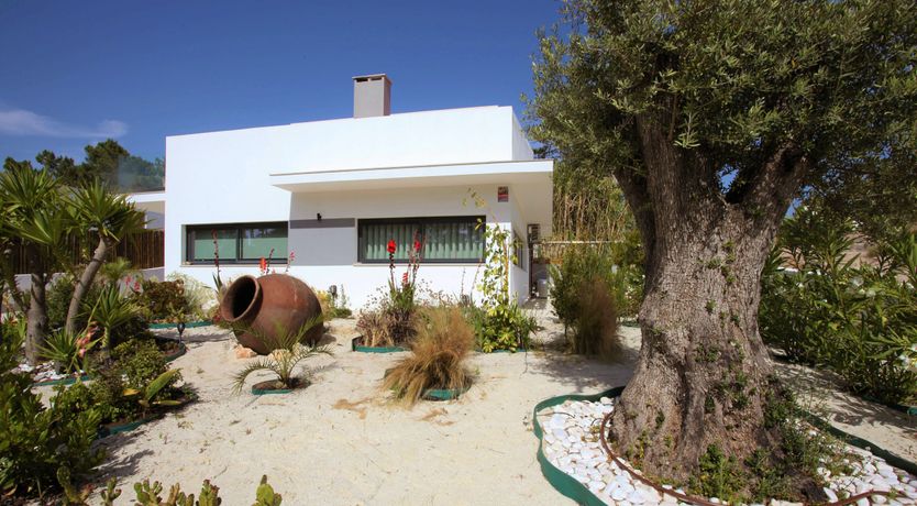 Photo of The Butterfly's Song