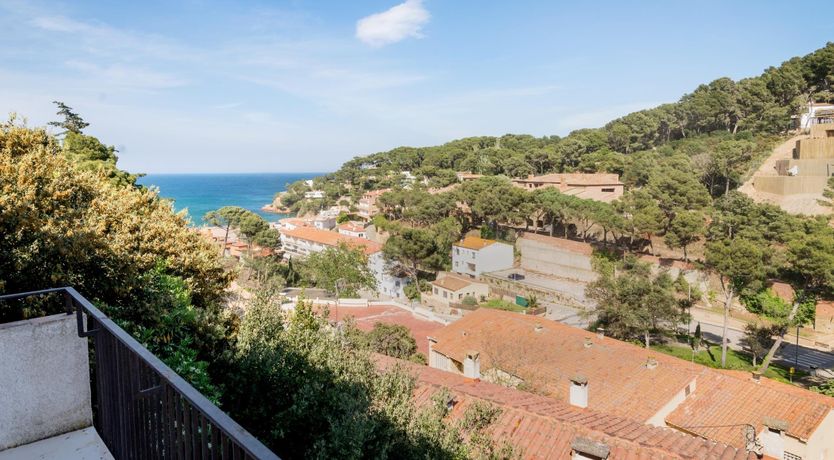 Photo of Spanish Life