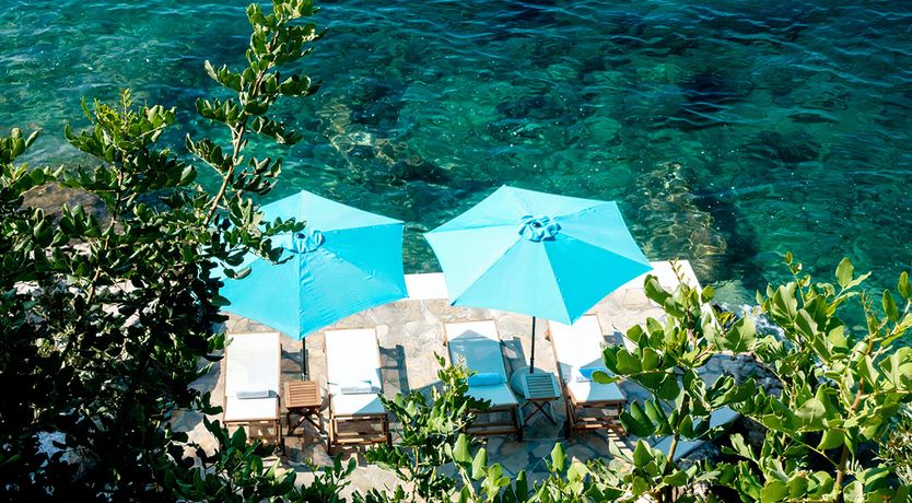 Photo of The Golden Shelf