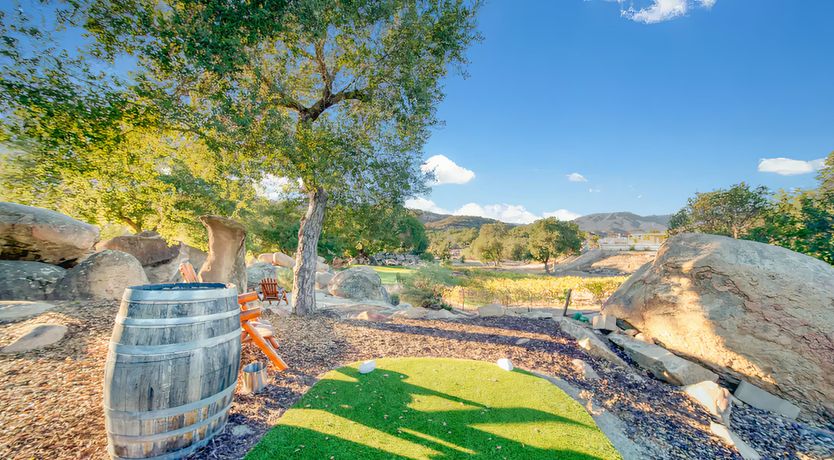 Photo of Temecula Oak