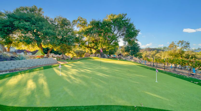 Photo of Temecula Oak