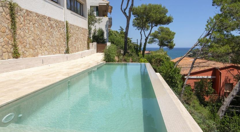 Photo of The Green Vine