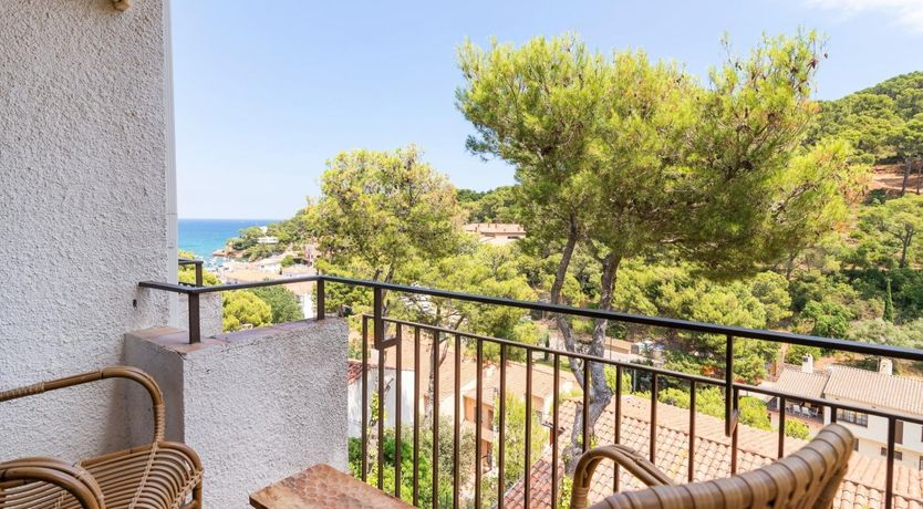 Photo of The Green Vine