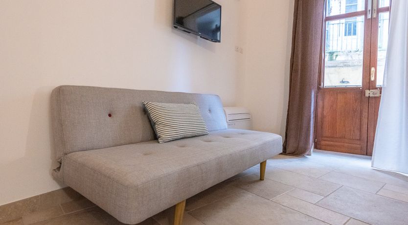 Photo of Oleander Seeds