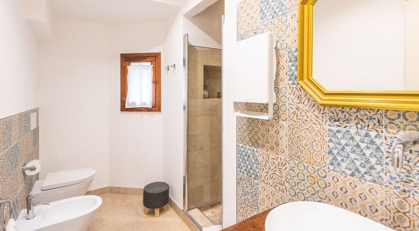 Photo of Oleander Seeds