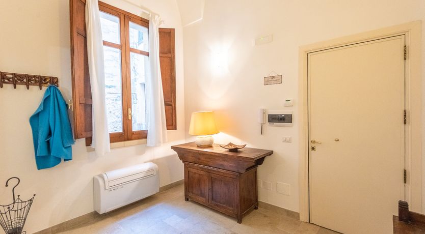 Photo of Oleander Seeds