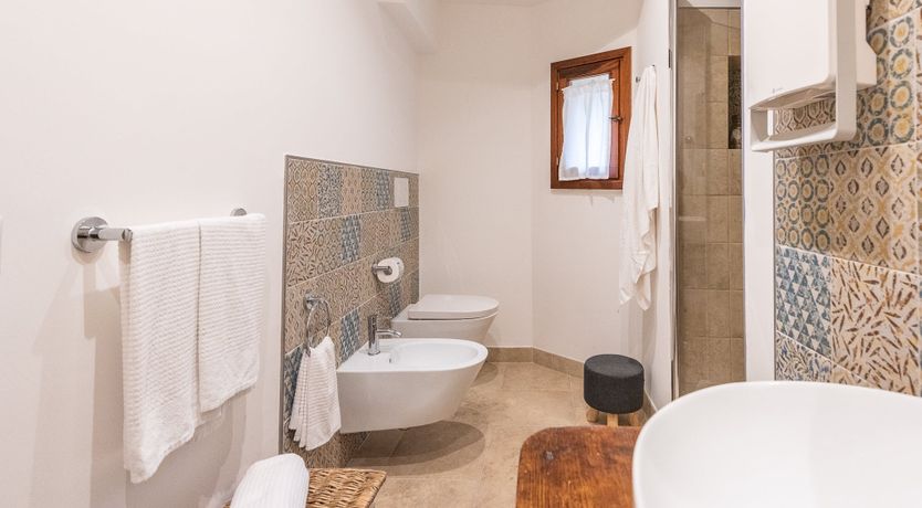 Photo of Oleander Seeds