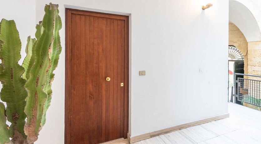 Photo of Oleander Seeds