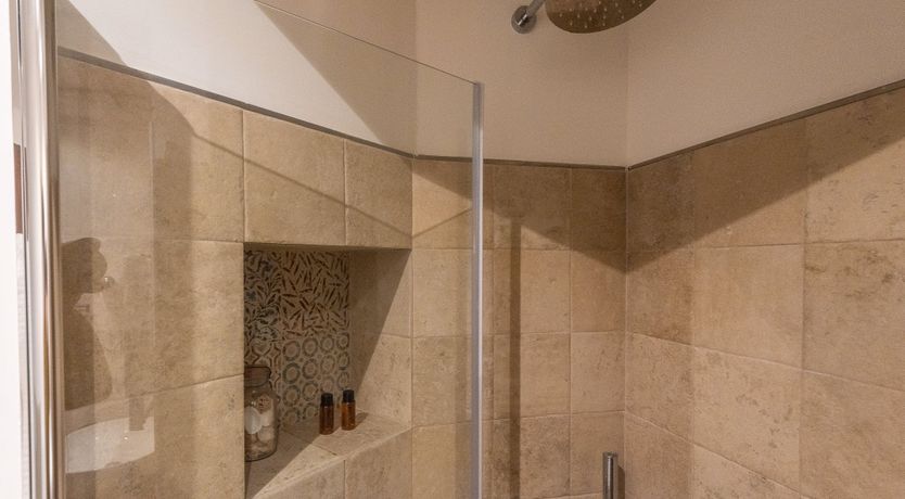 Photo of Oleander Seeds