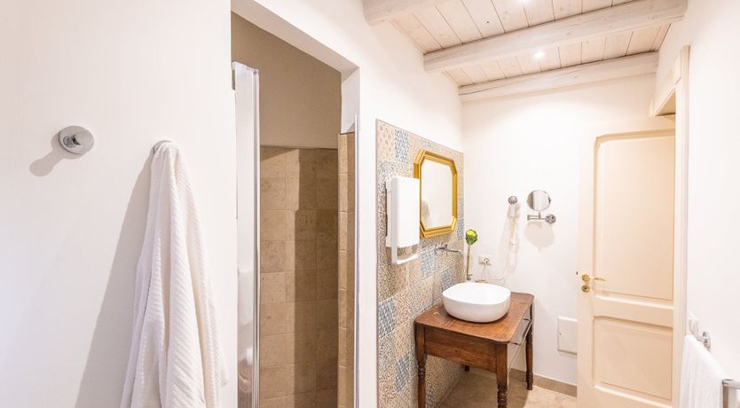 Photo of Oleander Seeds