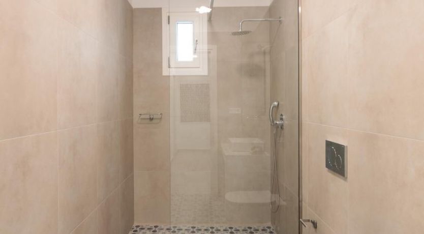 Photo of The Blue Muses