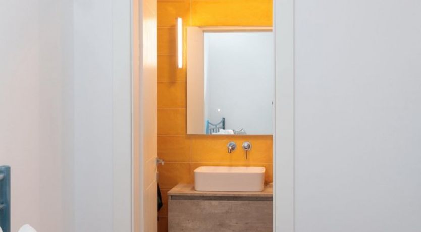 Photo of The Blue Muses