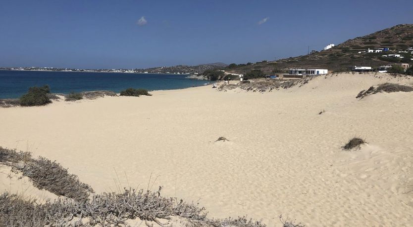 Photo of The Blue Muses